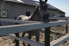IMG-20180224-WA0030
